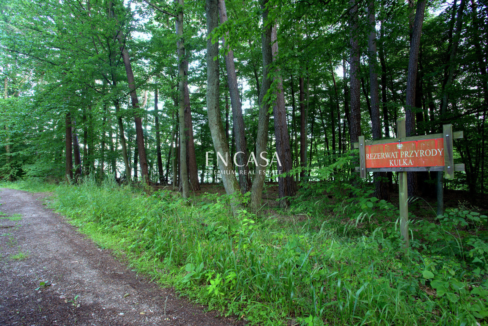 Plot Sale Orzyny 5